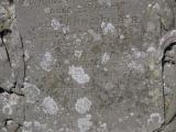 image of grave number 833536